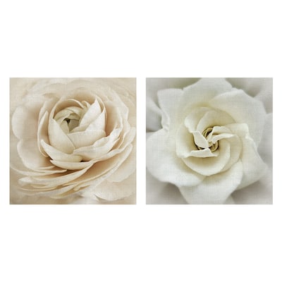 Dream, Faded Gardenia by Rebecca Swanson Canvas Art Prints