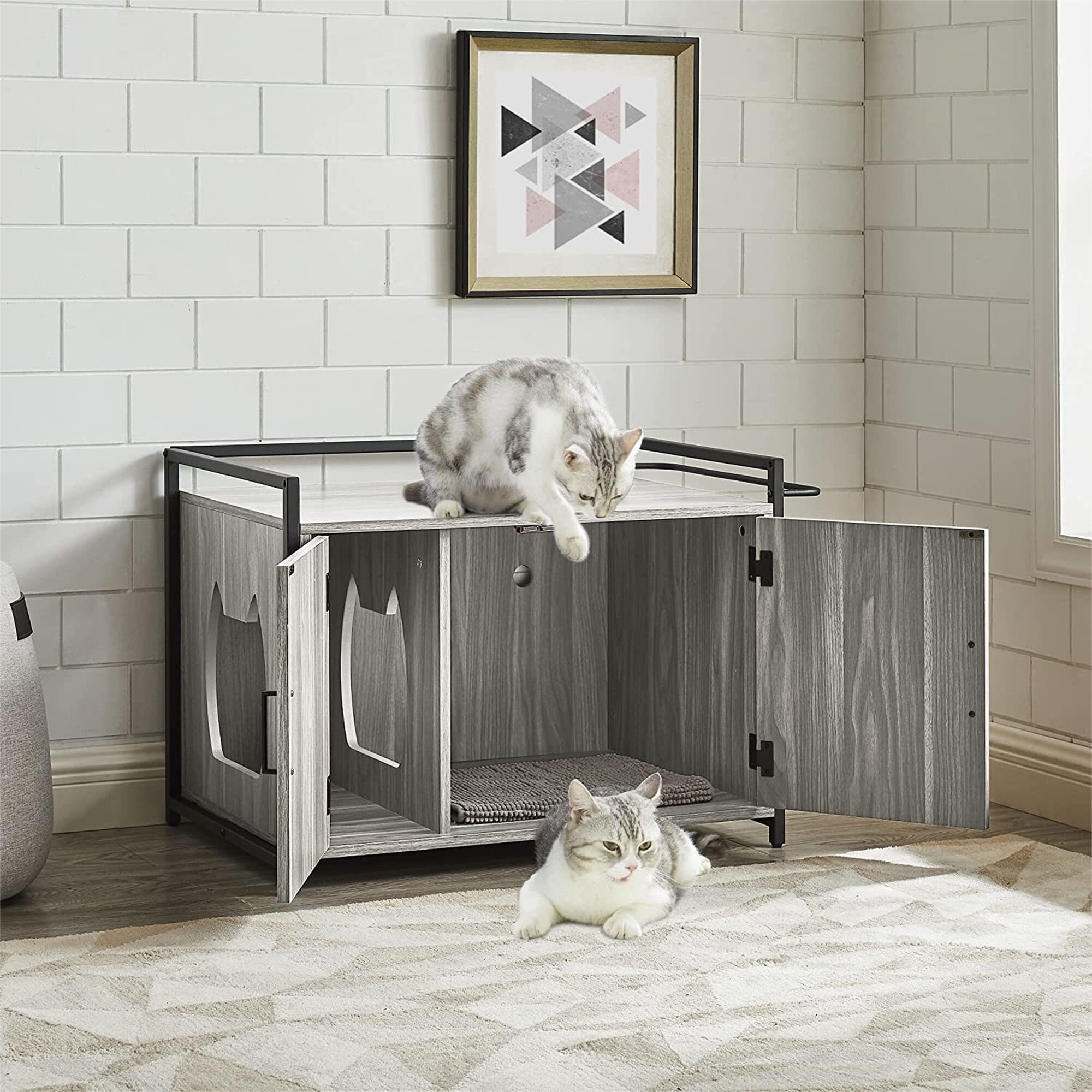 Bench with hidden litter box top
