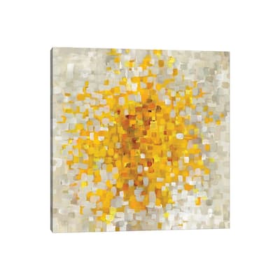 iCanvas "Summer Blocks" by Danhui Nai Canvas Print