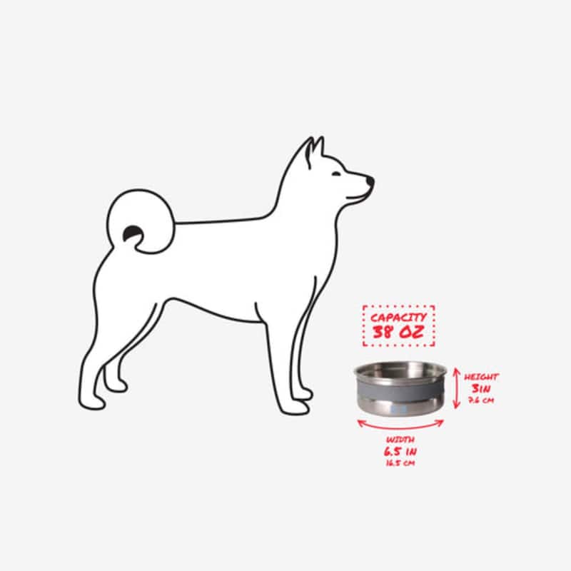 Built Stainless Steel Dog Bowl, 38 Oz & 64 Oz - 38 Oz & 64 Oz