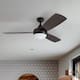 Porch & Den Nebeker 52-inch LED Ceiling Fan with Remote Control