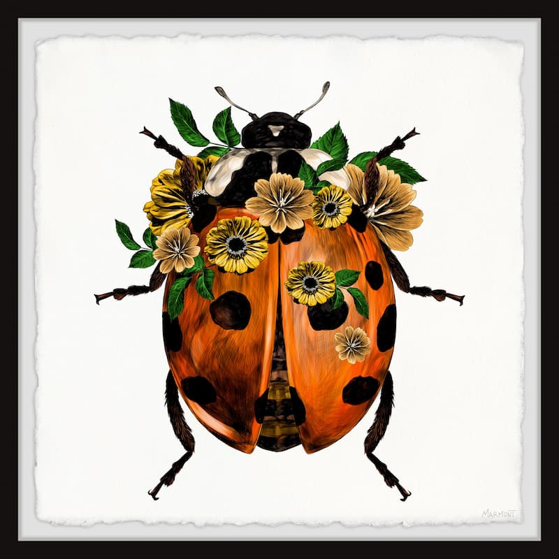 Sunflower Beetle Framed Print