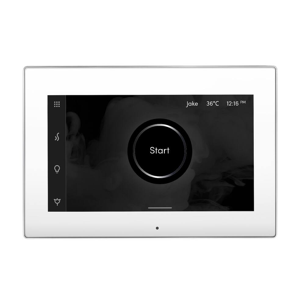 Mr Steam ISX Isteamx Steam Shower Control and Steamhead