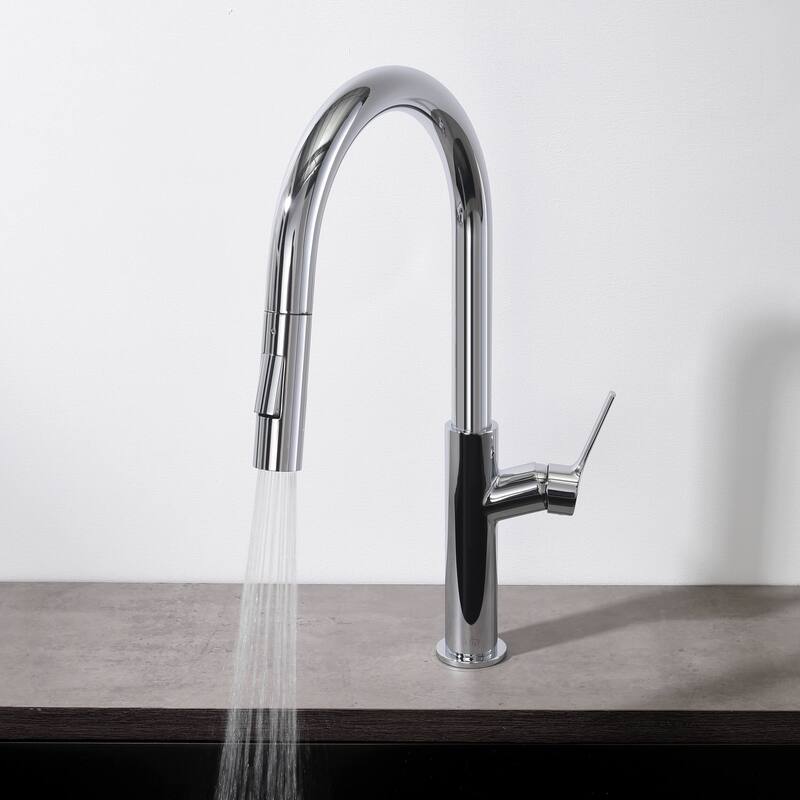 Fusion-T Single Handle Pull Down Kitchen Sink Faucet