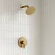Option Brushed Gold