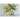 Golden Palm Memory Foam Rug