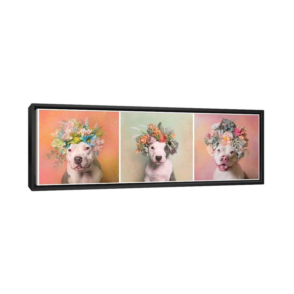 iCanvas "Pit Bull Flower Power, Lucy, Treasure And Rain" by Sophie Gamand Framed Canvas Print