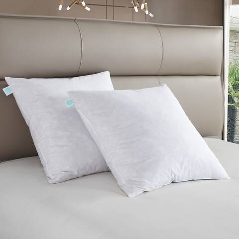 Martha Stewart European Square 26 x 26 Inch Feather Pillows (Set of 2) - White