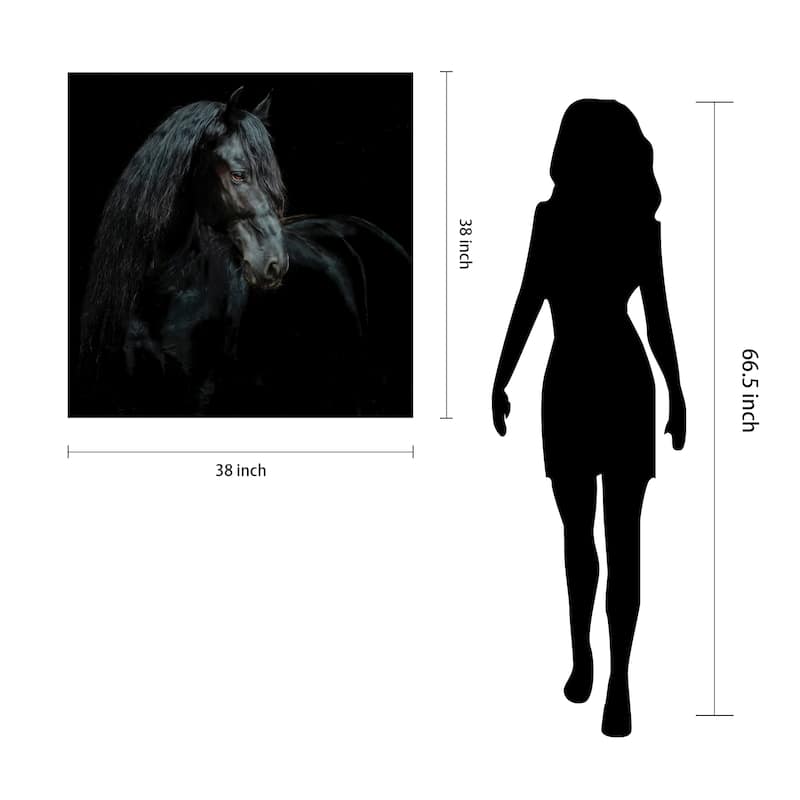 "Black Equine Attraction" Frameless Free Floating Tempered Glass Panel Graphic Wall Art