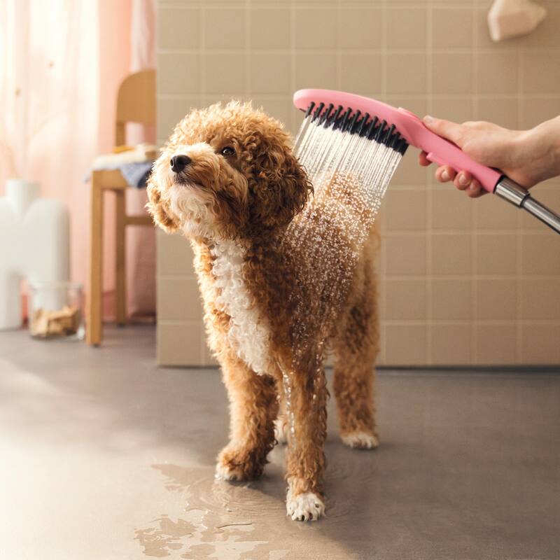 Hansgrohe 04973 DogShower 150, 3-Jet Select Hand Held Dog Shower with