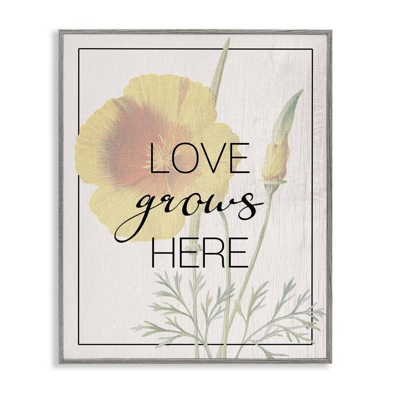 Stupell Vintage Love Grows Here Framed Giclee Art Design By Lil' Rue - 24 x 30 - Grey