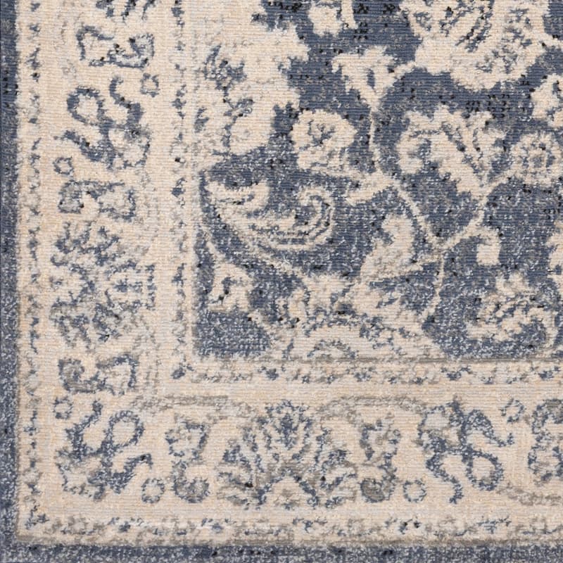 Amedeo Traditional Area Rug