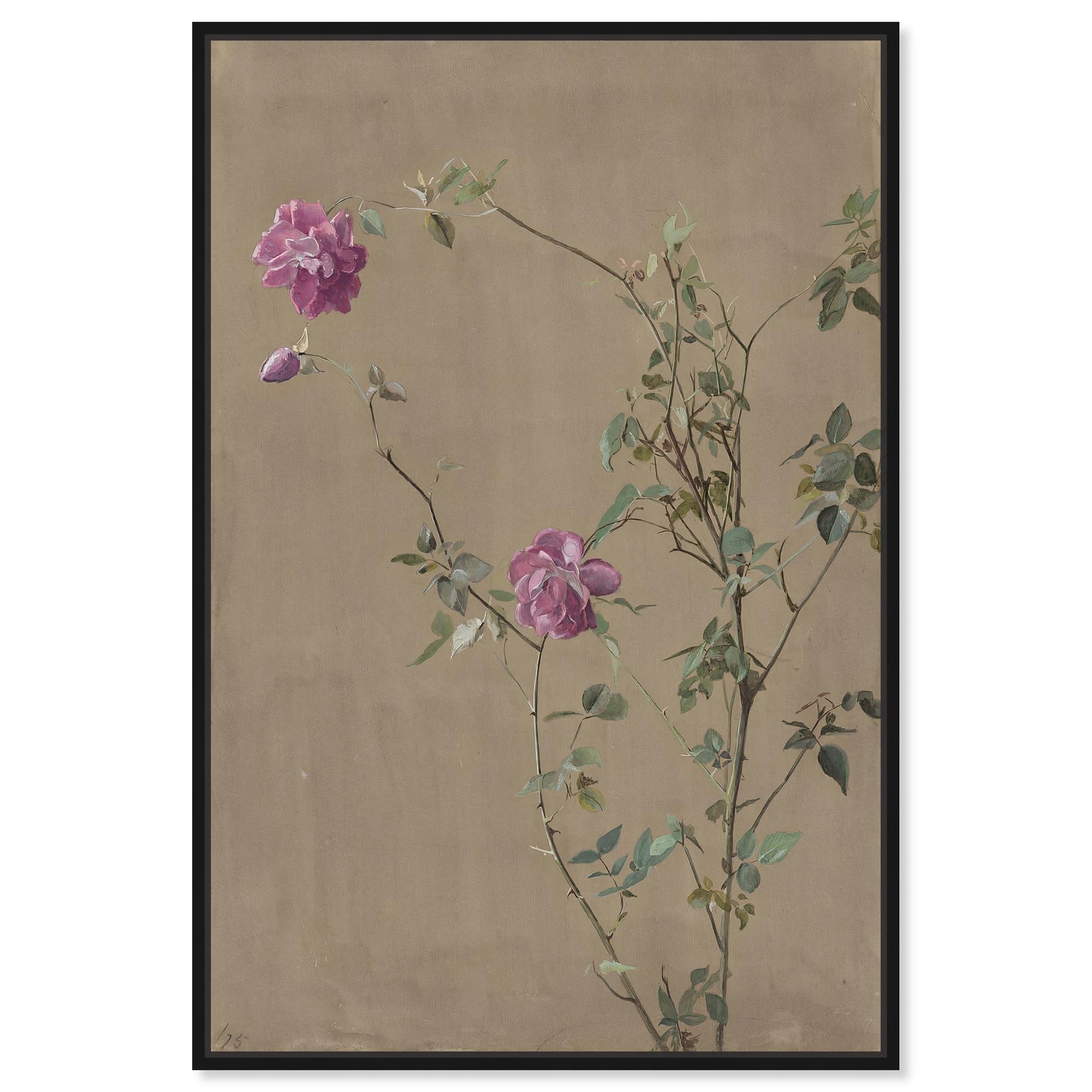 Pink Roses 1875 Canvas Farmhouse Floral Art by Art Remedy