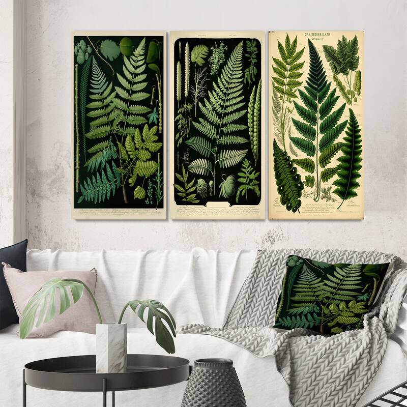 Designart "Fern On Retro Victorian Chart I" Floral Ferns Wall Art Set Of 3 - Modern Gallery Wall Set For Home Decor