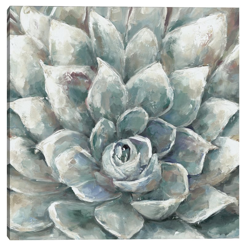 Cactus Bloom Ivory Square by Sandy Doonan Canvas Art Print