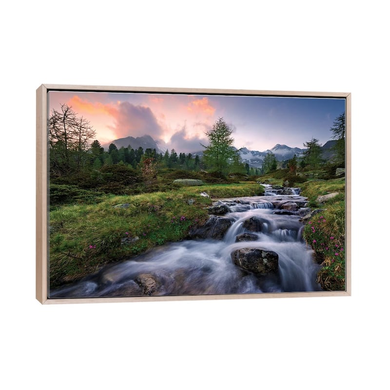 "Wild Paradise" by Stefan Hefele Framed