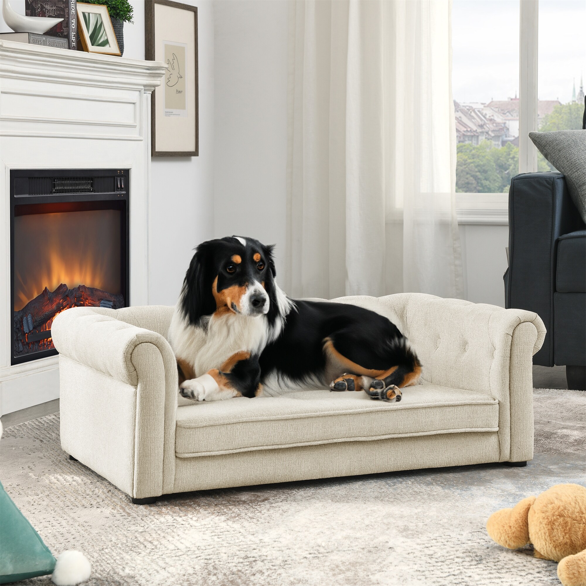 Modern dog couch outlet