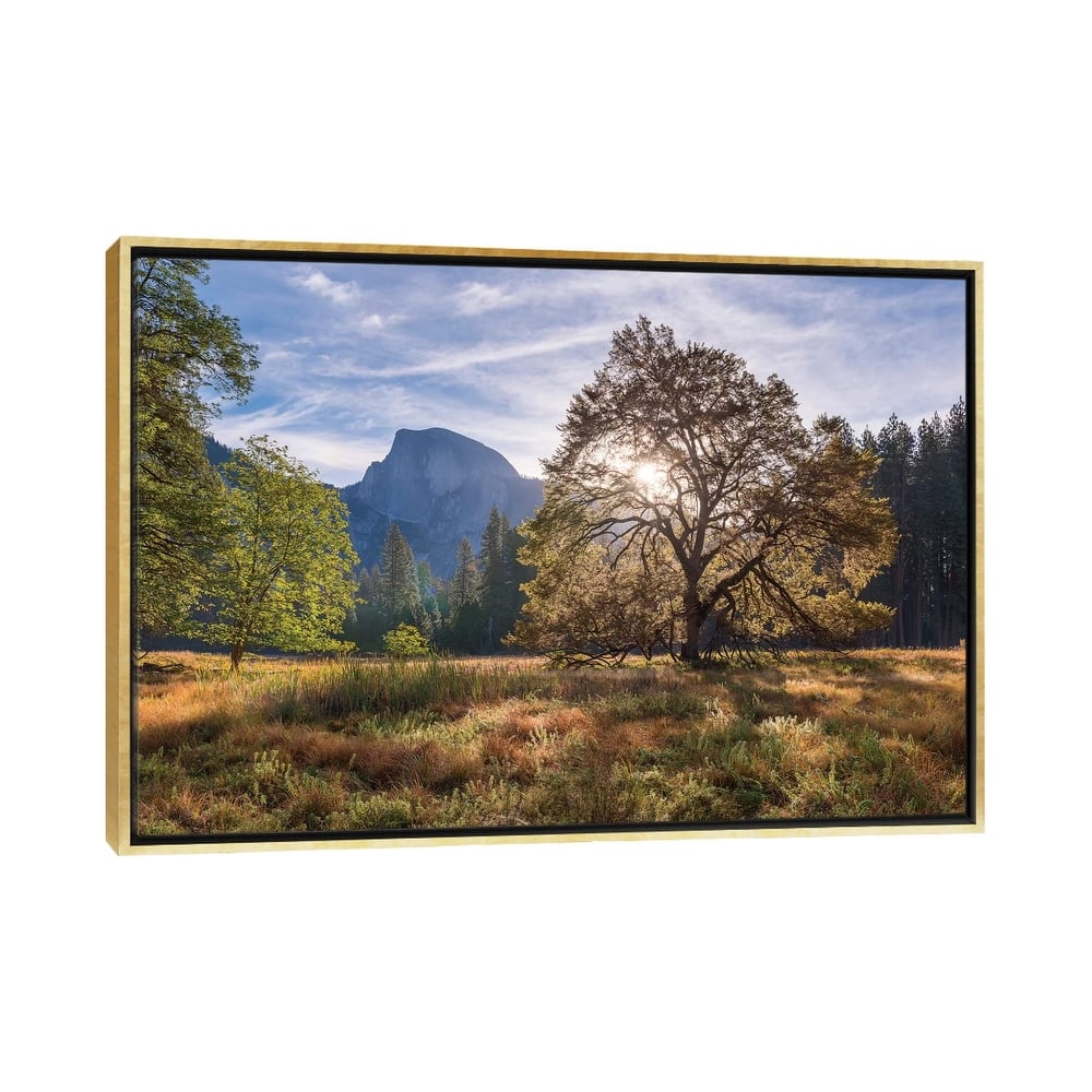 iCanvas "Cook's Meadow" by Adam Burton Framed Canvas Print