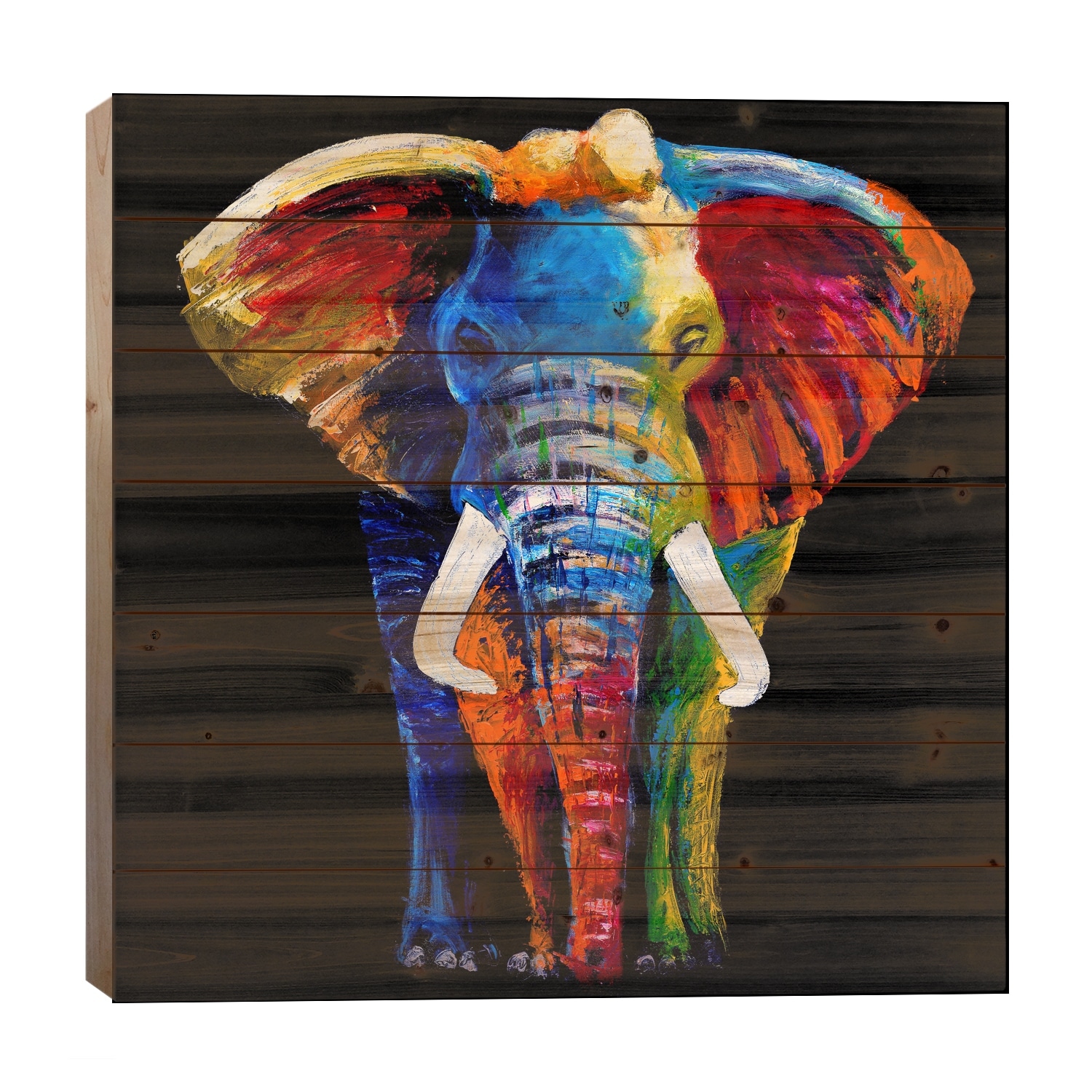 The Great Elephant Print On Wood by Clara Summer - Multi-Color