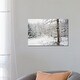 preview thumbnail 4 of 4, iCanvas "Winter Wood" by Lena Weisbek Canvas Print 18x26x1.5