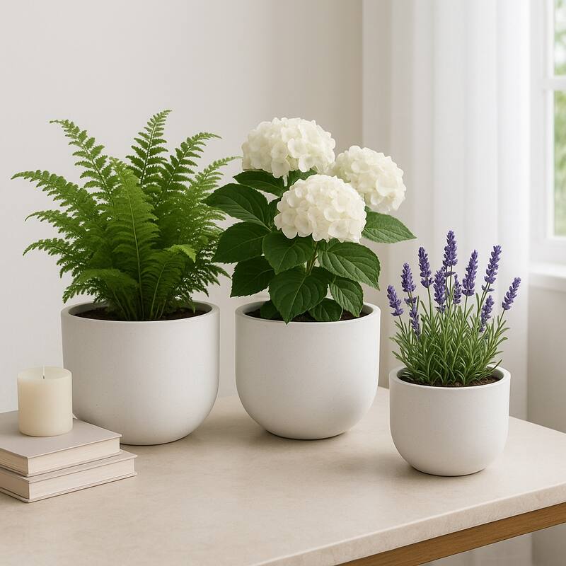 Pottery Rounded Cement Planters (Set of 3) - 11", 8", 6" White - 15" x 15" x 11"