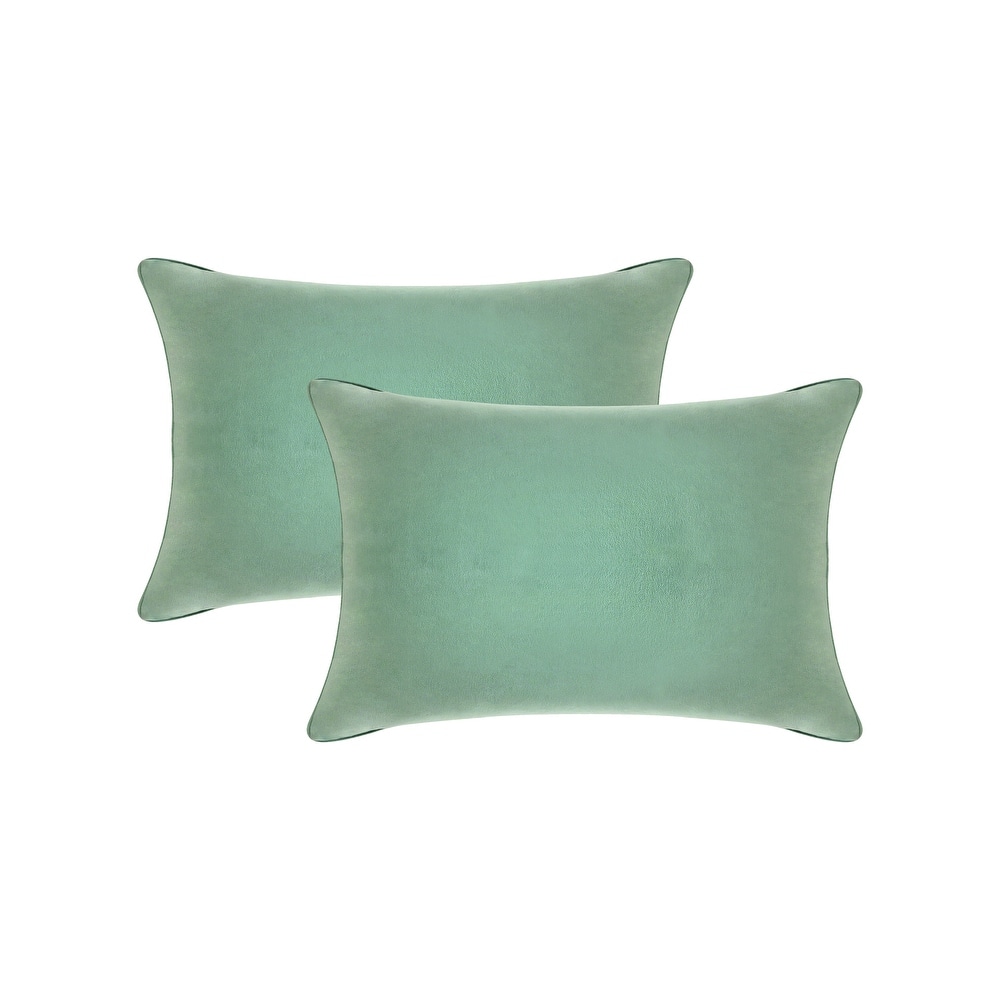 A1HC Pack of 2 Velvet Throw Pillow Insert, Hypoallergenic Down Alternative Fill