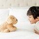 preview thumbnail 6 of 5, Warmies Plush Microwavable Lavender Scented Plush Golden Dog