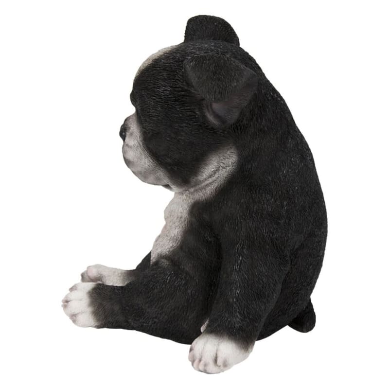 7.25" Sleepy Boston Terrier Puppy Outdoor Garden Statue