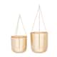 Option Gold - 9", 11"H