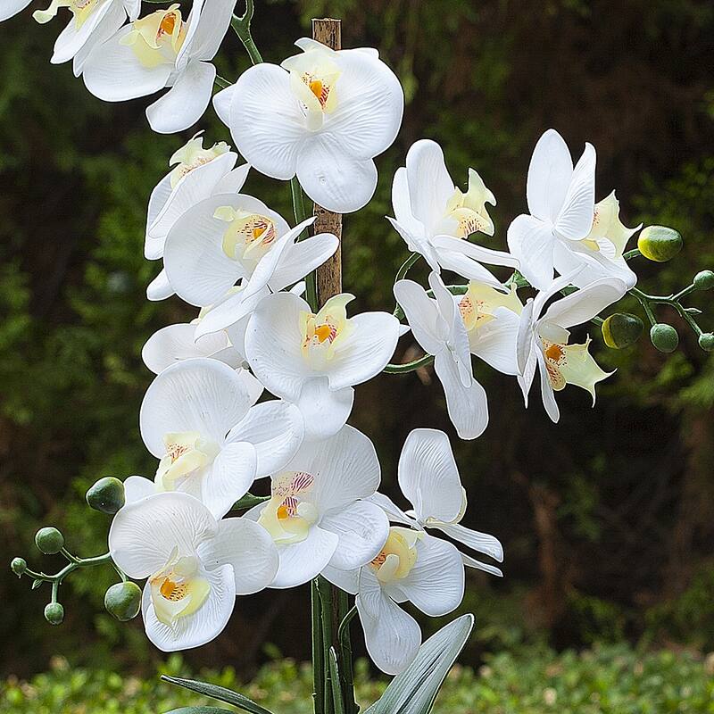 Enova Home Artificial 24" High Quality Real Touch Orchids Fake Silk Flowers in White Ceramic Pot for Home Office Decoration