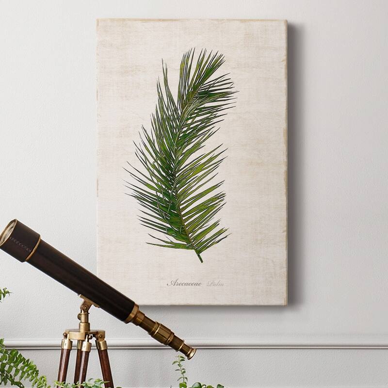 Palm Botanical II Premium Gallery Wrapped Canvas - Ready to Hang