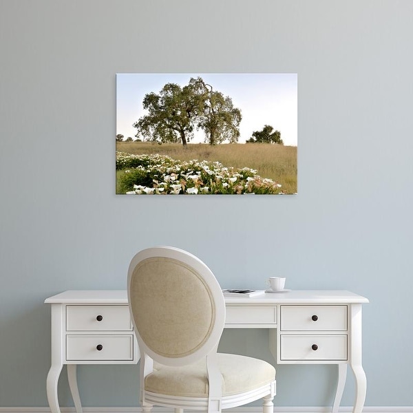 Easy Art Prints Alan Blaustein's 'Oak Tree #94' Premium Canvas Art