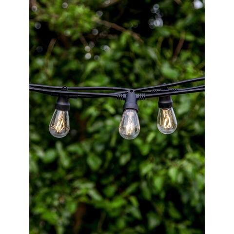 Brightech Ambience Solar 1W LED S14 27 Ft Non Hanging (2700K) Warm White Light Strand - Black