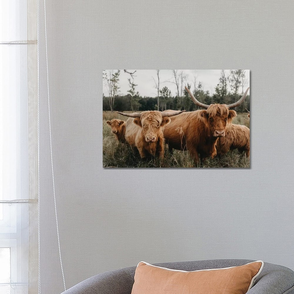 iCanvas "Highland Cow Herd" by Chelsea Victoria Canvas Print