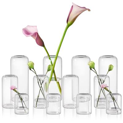 Glass Bud Vase Set of 12, Clear Small Bud Vases in Bulk for Flowers. Modern Hand Blown Cylinder Glass Vase