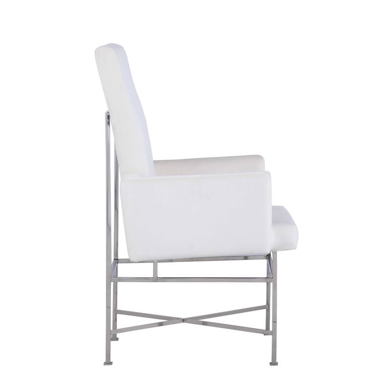 Somette Contemporary Arm Chair with Steel Frame, Set of 2