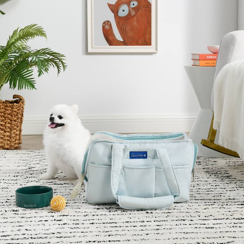 Teddy 14.5'' Dog & Cat Carrier Bag in Light Blue - 14.5