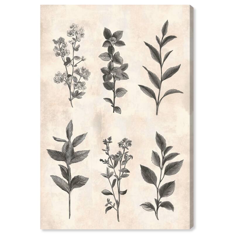 Sepia Stems Canvas by Art Remedy, Gallery Wrapped - 10" x 15"