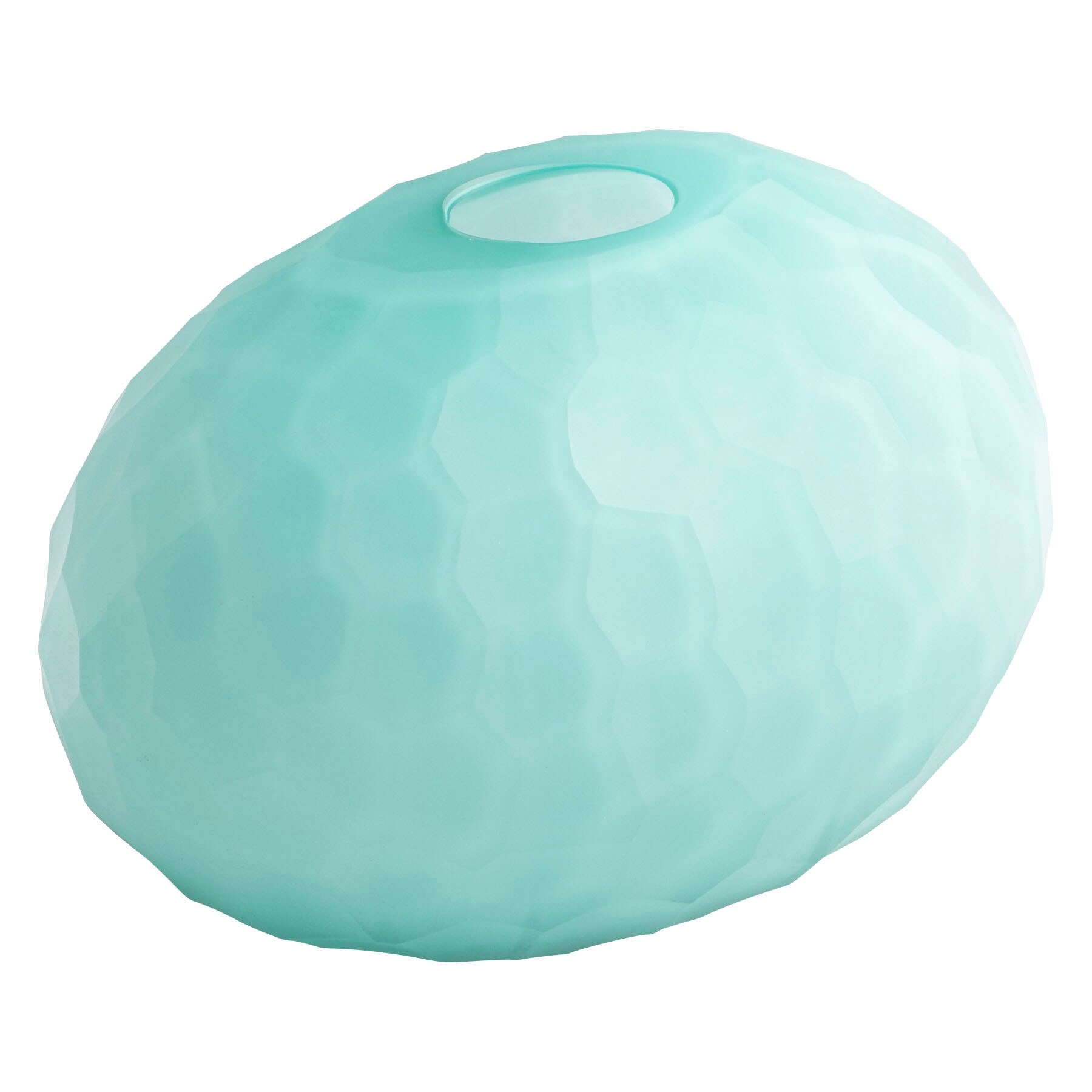 Shop Cyan Design 08807 Undersea 6 Tall Oblong Glass Vase With