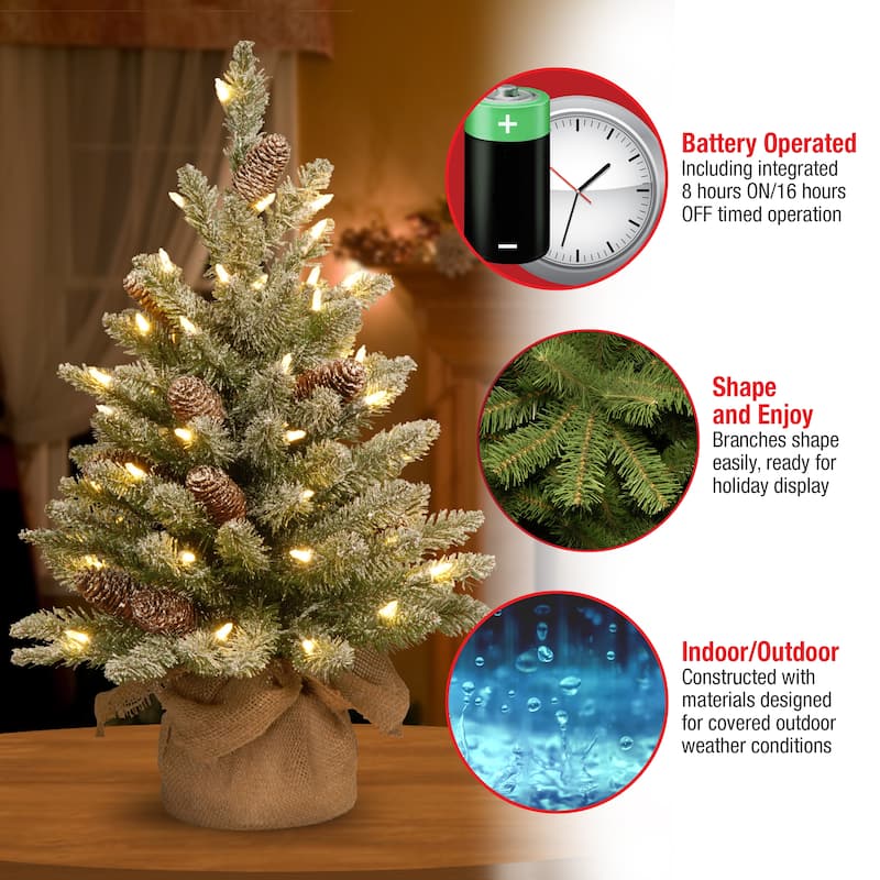 National Tree Company 2 ft. Snowy Concolor Fir Tree with Battery-Operated LED Lights - 2 feet