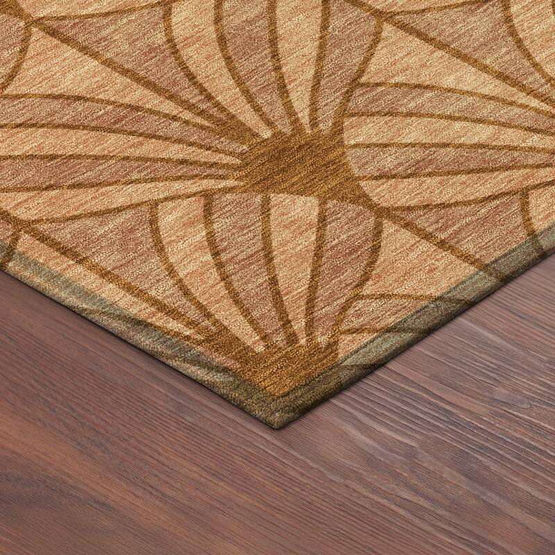 Machine Washable Indoor/ Outdoor Casual Kim Chantille Rug