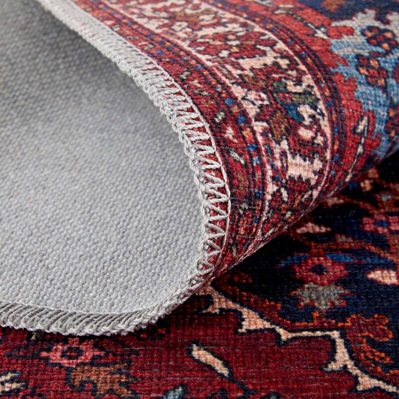 Birchlawn R39HD Medallion Transitional Area Rug