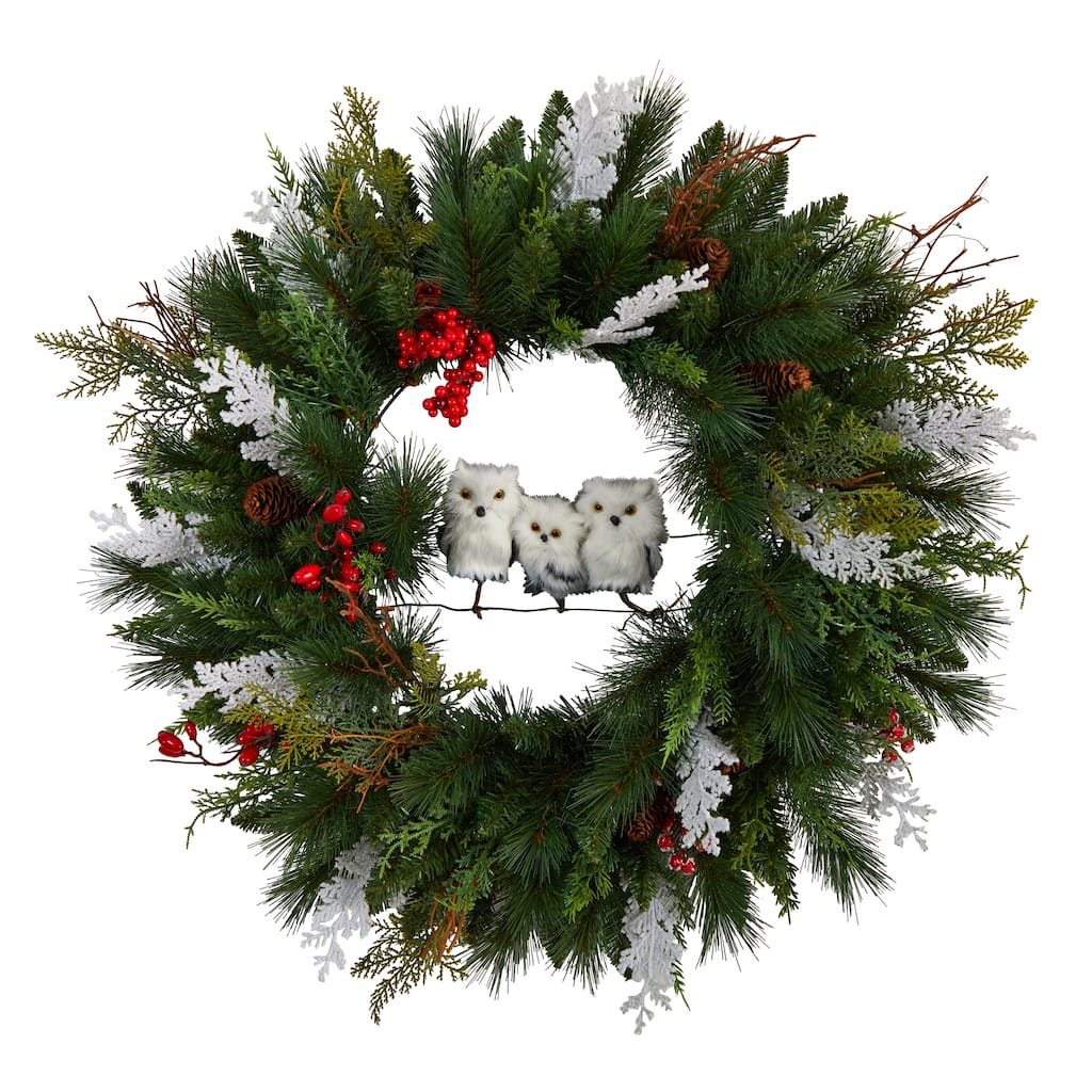 Pinecones and Berries with Owl Artificial Christmas Wreath, 24-Inch, Unlit