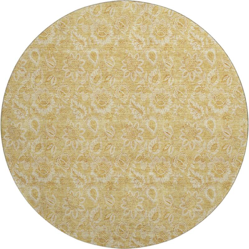 Premium Washable Super Soft Floral Mayfield Rug