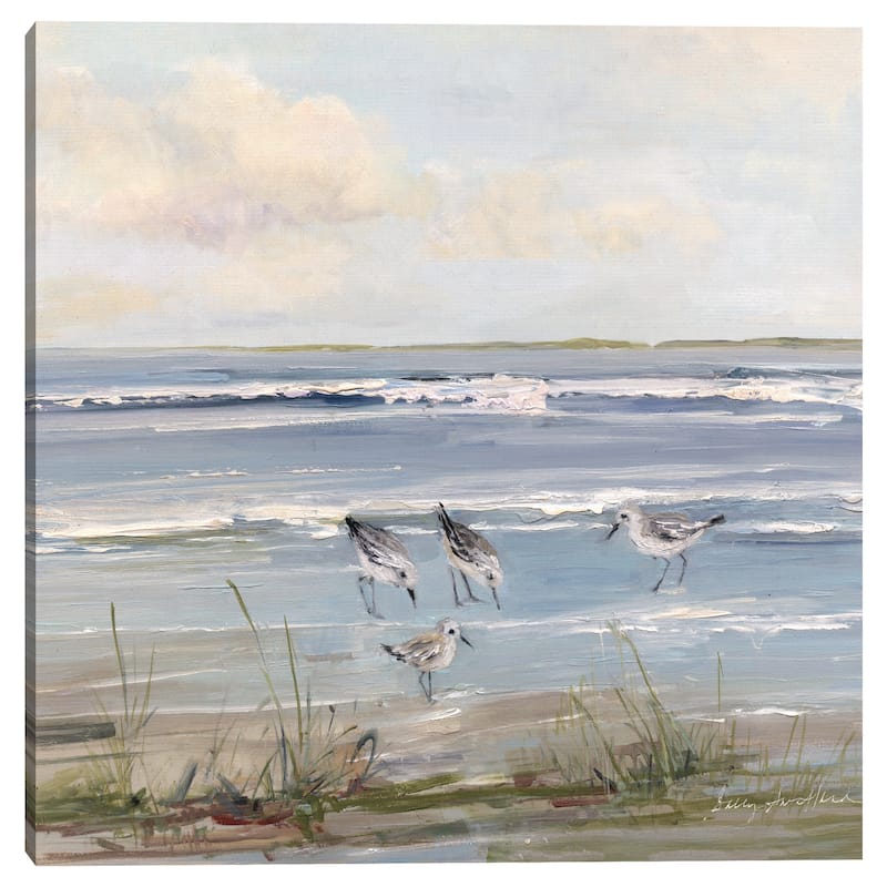 Beach Hopping by Sally Swatland Canvas Art Print