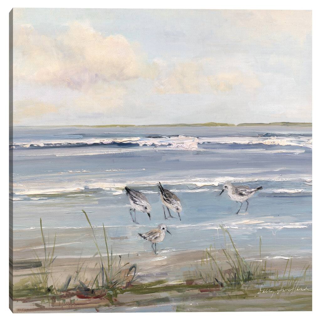 Beach Hopping by Sally Swatland Canvas Art Print