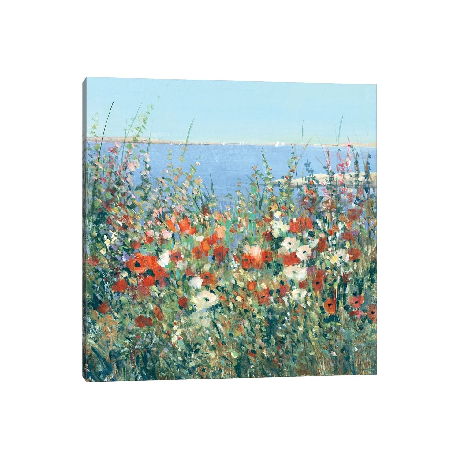 iCanvas "Seaside Garden I" by Tim OToole Canvas Print