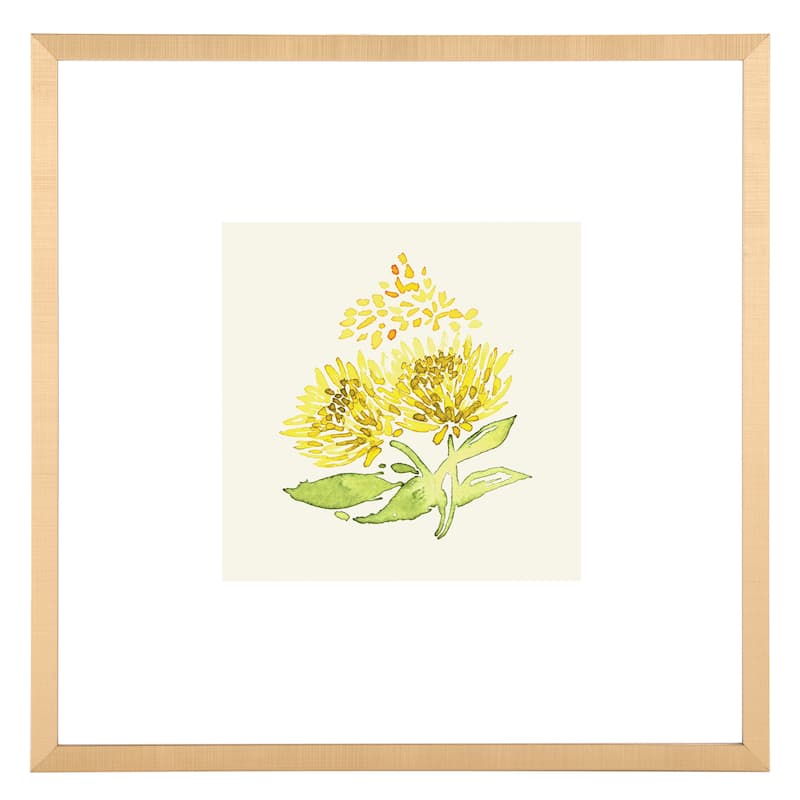 SAFAVIEH Tonna Summer Wishes 16-inch Square Framed Wall Art