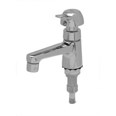 T and S Brass Self-Closing Metering Sill Faucet with Push-Button, 1/2"