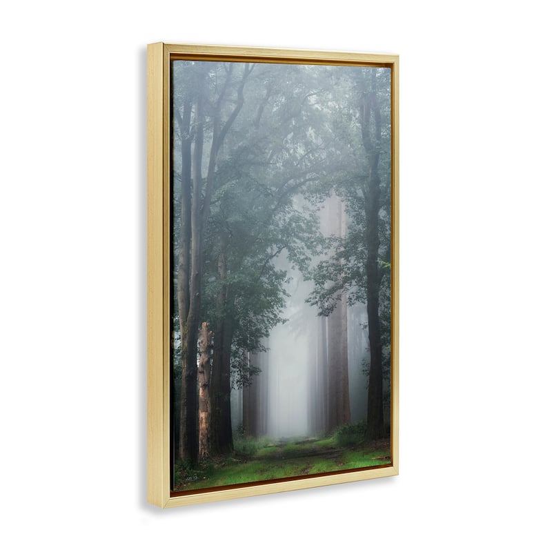 Stupell Calm Forest Clearing Framed Floater Canvas Wall Art Design By Martin Podt